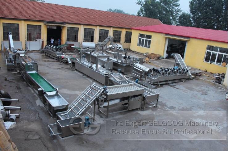 Automatic French Fries Processing line