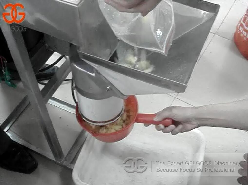 Garlic Paste Crushing Machine