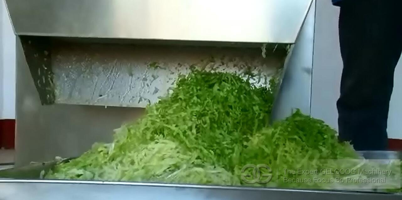 Vegetable Cutting Machine Test Work Video