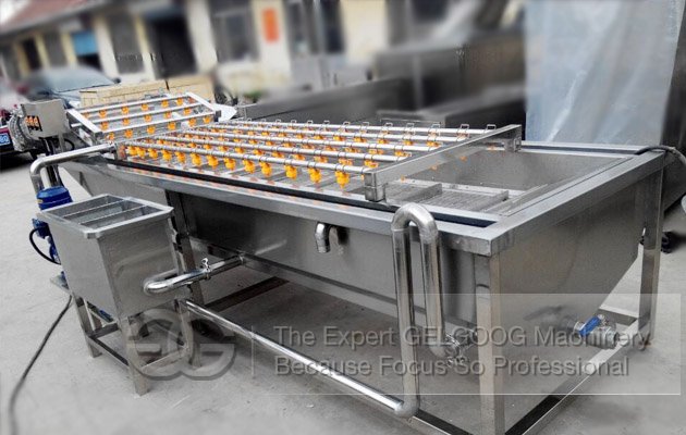 Automatic Ginger Washing and Cutting Production Line