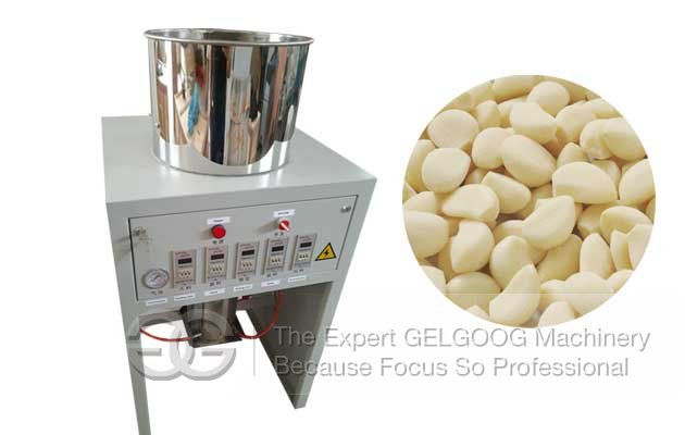 stainless steel garlic peeling machine with best price 
