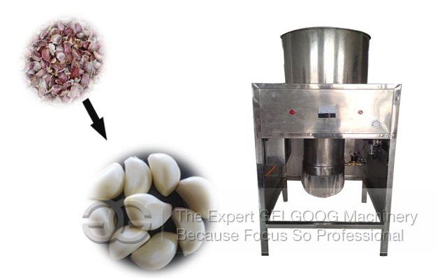 180-280kg/h Garlic Peeling Machine with Prcie