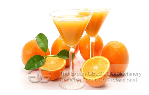 20 orange/min Orange Juice Extractor
