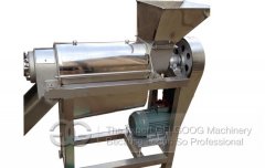 CE Approved Sprial Fruit Juice Extracting Machine On Sale