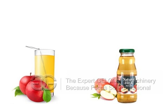 Apple Juice Extractor Mchine On Sale