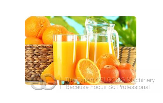 Orange Juice Squeezer Hot Sale