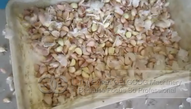 Automatic Garlic Separator Machine Price