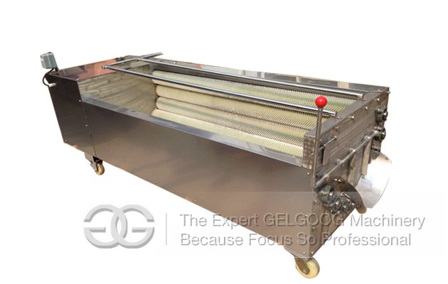 Commercial Fruit and Vegetable Washing and Peeling Machine 