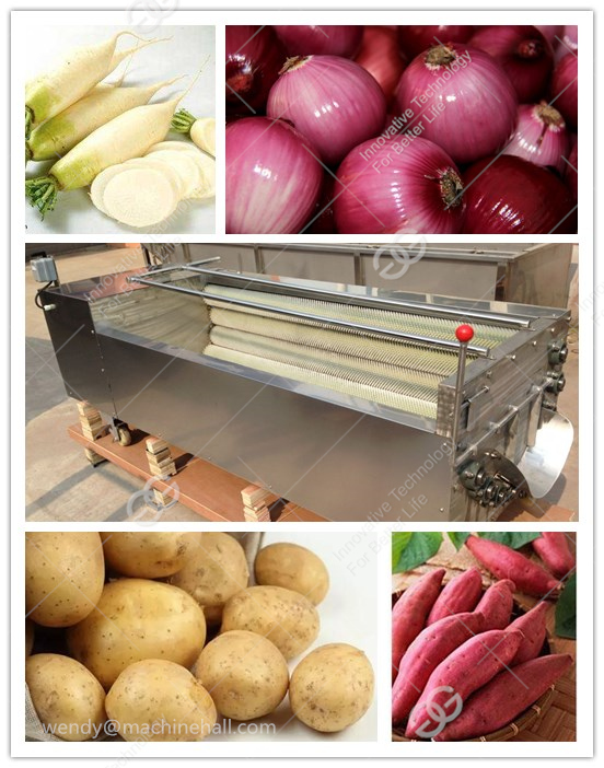 vegetable washing and peeling machine for potato|radish|swwet potato|carrot