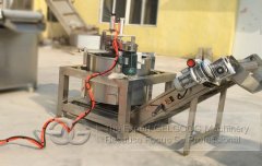 Automatic Fired Food Oil Removal Machine for 