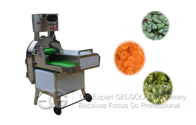 Double Frequency Conversion Vegetable Cutting Machine Manufacturer