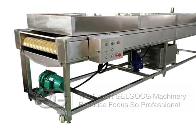 Commercial Dates Washing Cleaning Air Drying Machine Line