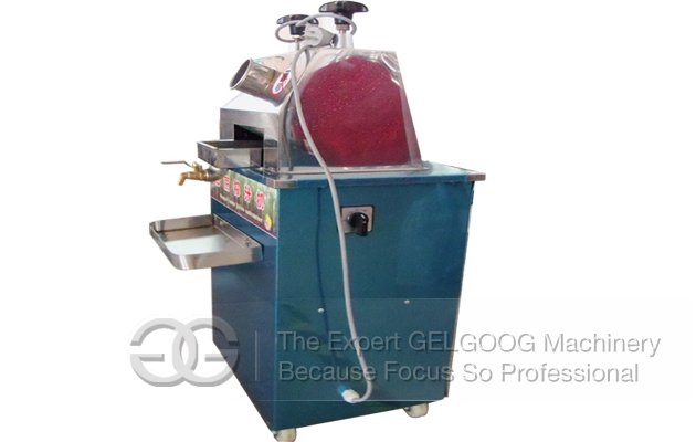 Vertical Electric Sugarcane|Ginger Juice Making Machine 