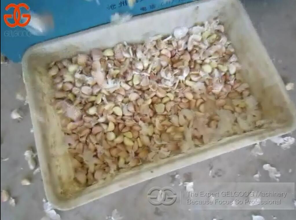 Automatic Garlic Separator Machine 