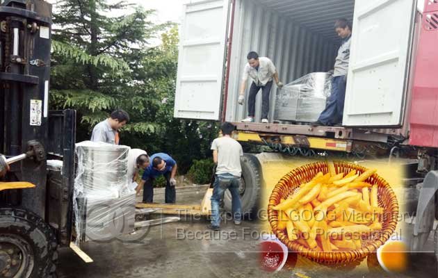 mexico french fries processing line price