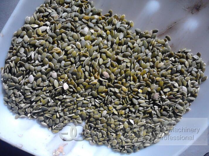 Melon Seeds Shelling Machine Work Video