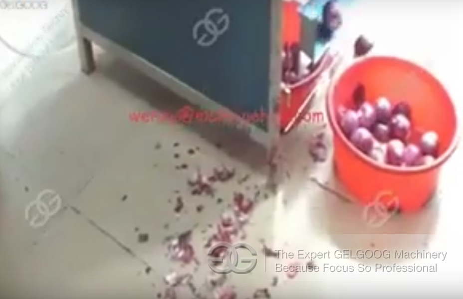 Onion Skin Removal Machine Work Video