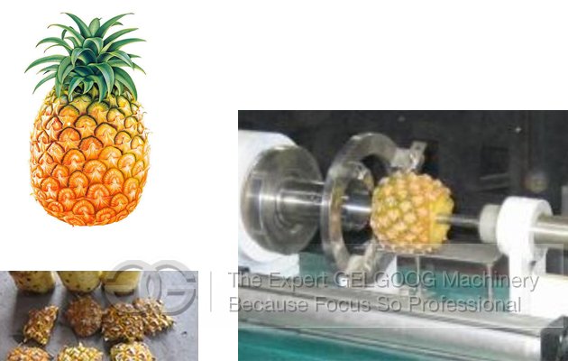 Best Selling Pineapple Skin Remover Machine|Pineapple Peeling Machine