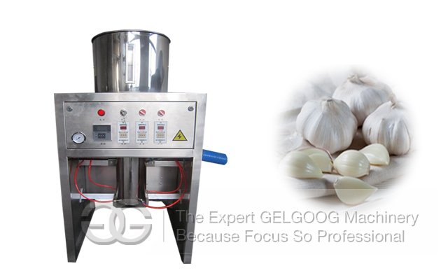 180-280kg/h Garlic Peeling Machine with Prcie