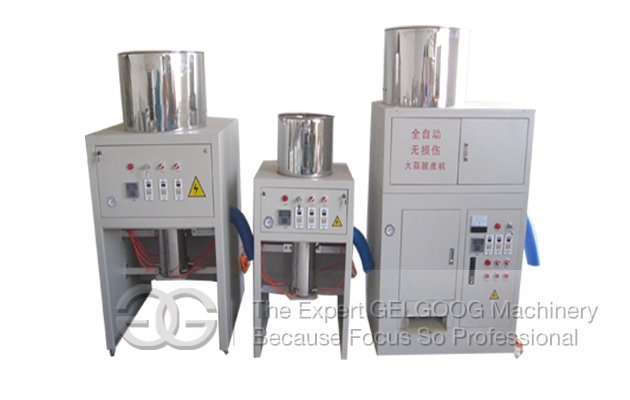 Commercial Garlic Peeling Machine