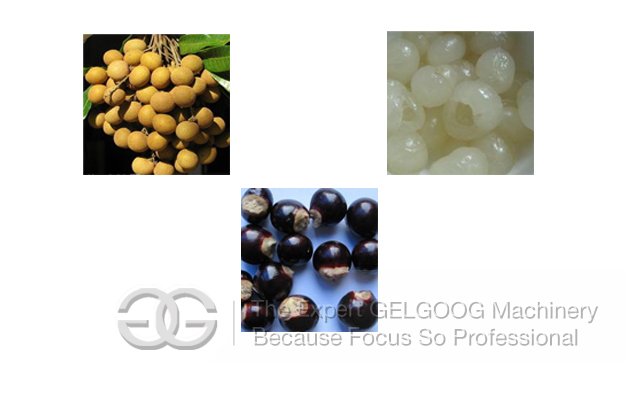 Hot Sale Longan Pitting Machine
