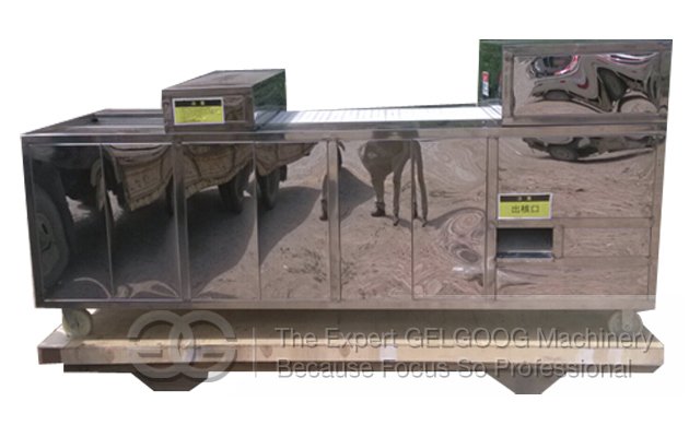 Cherry Core Pitting Machine