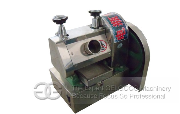 Battery Type Sugarcane Juice Machine