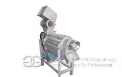 Apple Juice Extractor Mchine On Sale