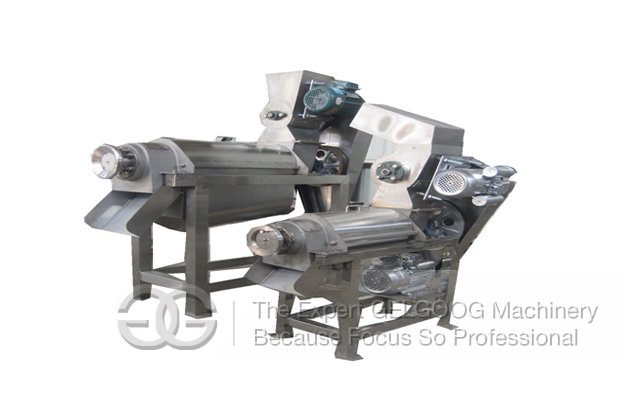 Apple Juice Extractor Mchine On Sale