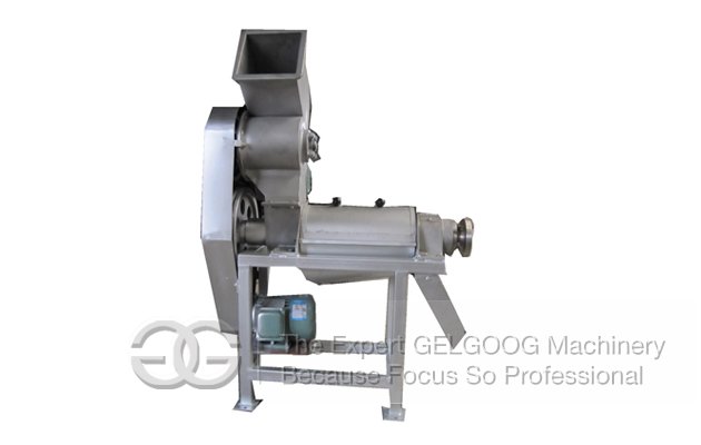 Apple Juice Extractor Mchine On Sale