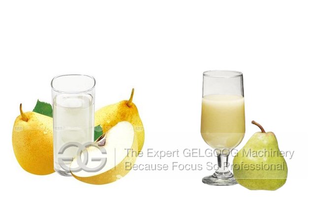 Crush Type Pear Squeezing Machine
