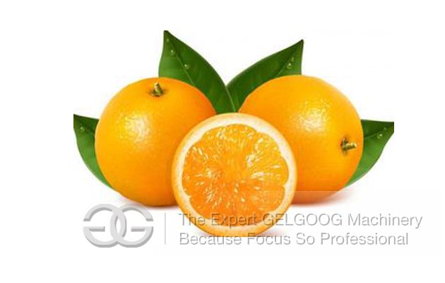 Orange Juice Extracting Machine