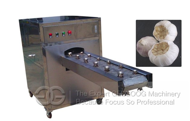 Garlic Root Caved Cutter