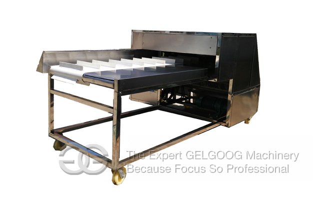 Needle Mushroom Root Cutter