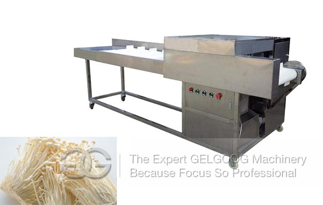 Needle Mushroom Root Cutter
