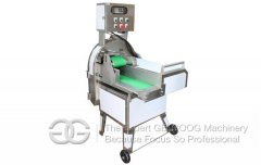 Vegetable Slicing Machine