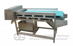 Mushroom Slicer Cutting Machine