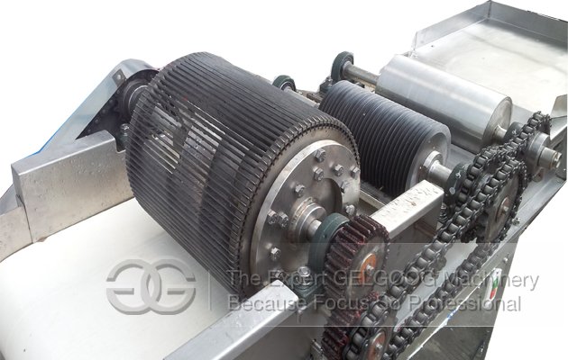 Preserved Fruit Cutting Machine