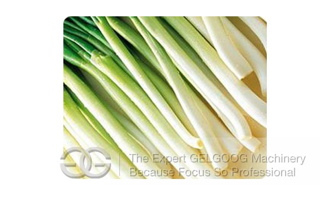 Leaf Vegetable Cutting Machine