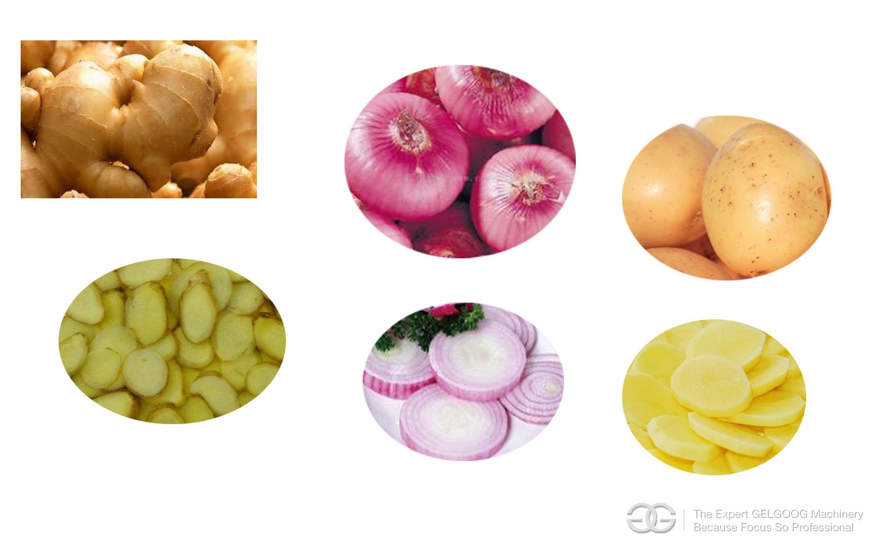 Multifunctional Root Vegetable Cutting Machine|Onion Cutter Machine