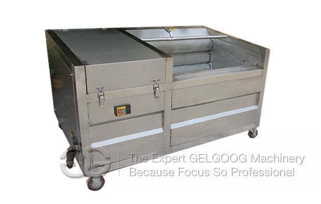 Small Type Fruit Washing and peeling Machine
