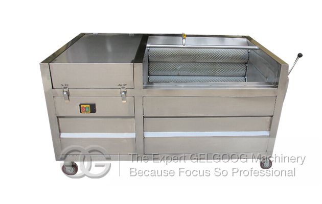 Small Type Fruit Washing and peeling Machine