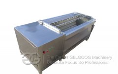 Hot Sale Fruit Washing and Peeling Machine