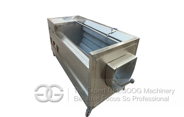 Hot Sale Fruit Washing and Peeling Machine