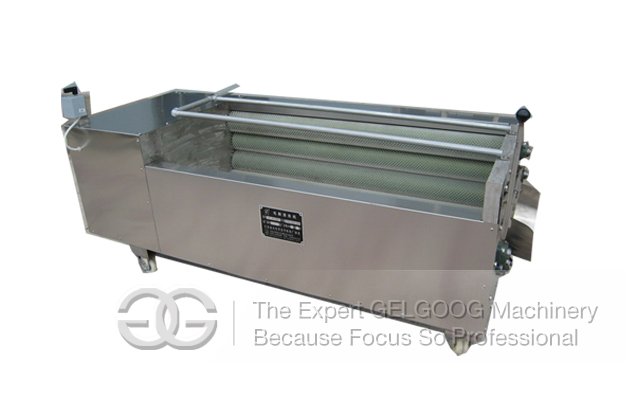 Hot Sale Fruit Washing and Peeling Machine