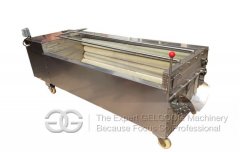 Commercial Fruit and Vegetable Washing and Pe