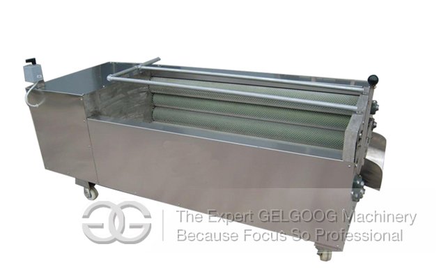 Commercial Fruit and Vegetable Washing and Peeling Machine 