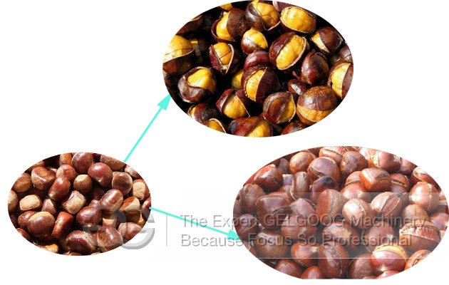 Chestnut Roastor Machine