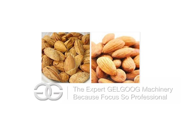 Automatic Almond Shelling Machine