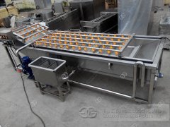 Fruit And Vegetable Washing Machine Is Packed To Egypt